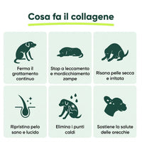 Collagene Liquido per Cani – Stop a Prurito, Allergie e Infezioni