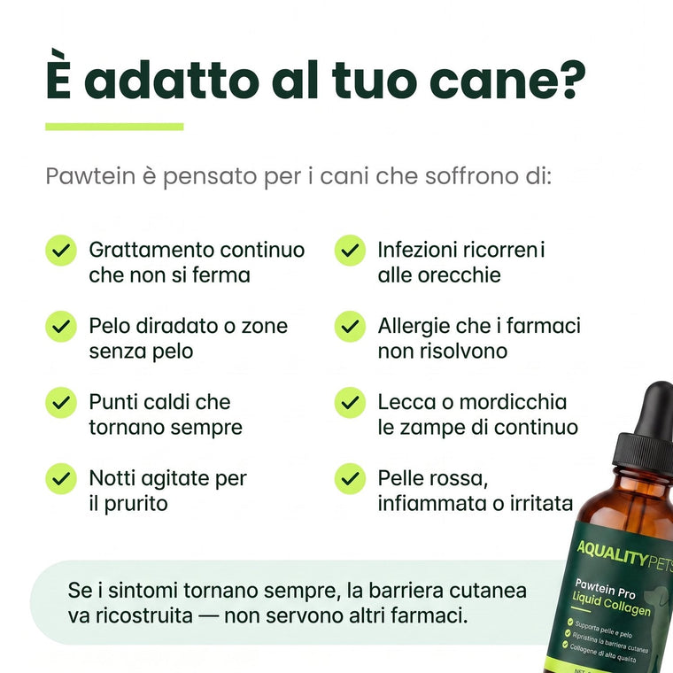 Collagene Liquido per Cani – Stop a Prurito, Allergie e Infezioni