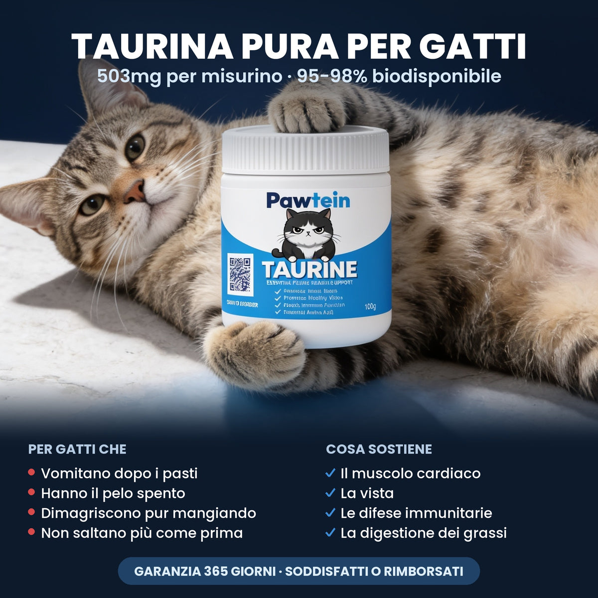 Pawtein™ Suplemento de Taurina para Gatos