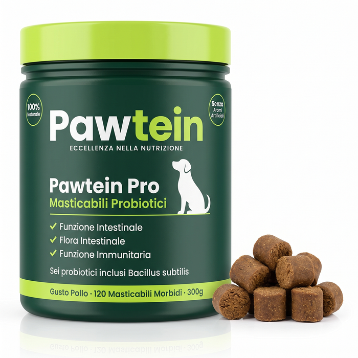Probiotici Masticabili Pawtein — Fermenti per Intestino e Difese del Cane