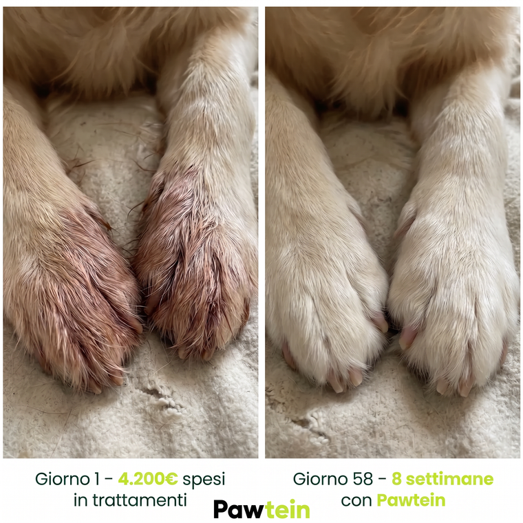 Collagene Liquido per Cani – Stop a Prurito, Allergie e Infezioni