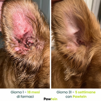 Collagene Liquido per Cani – Stop a Prurito, Allergie e Infezioni