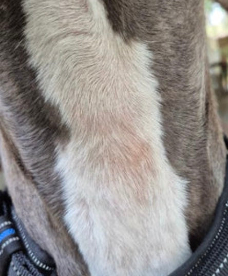 Pelle guarita dopo il trattamento