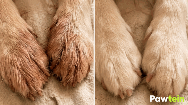 Buddy: prima e dopo