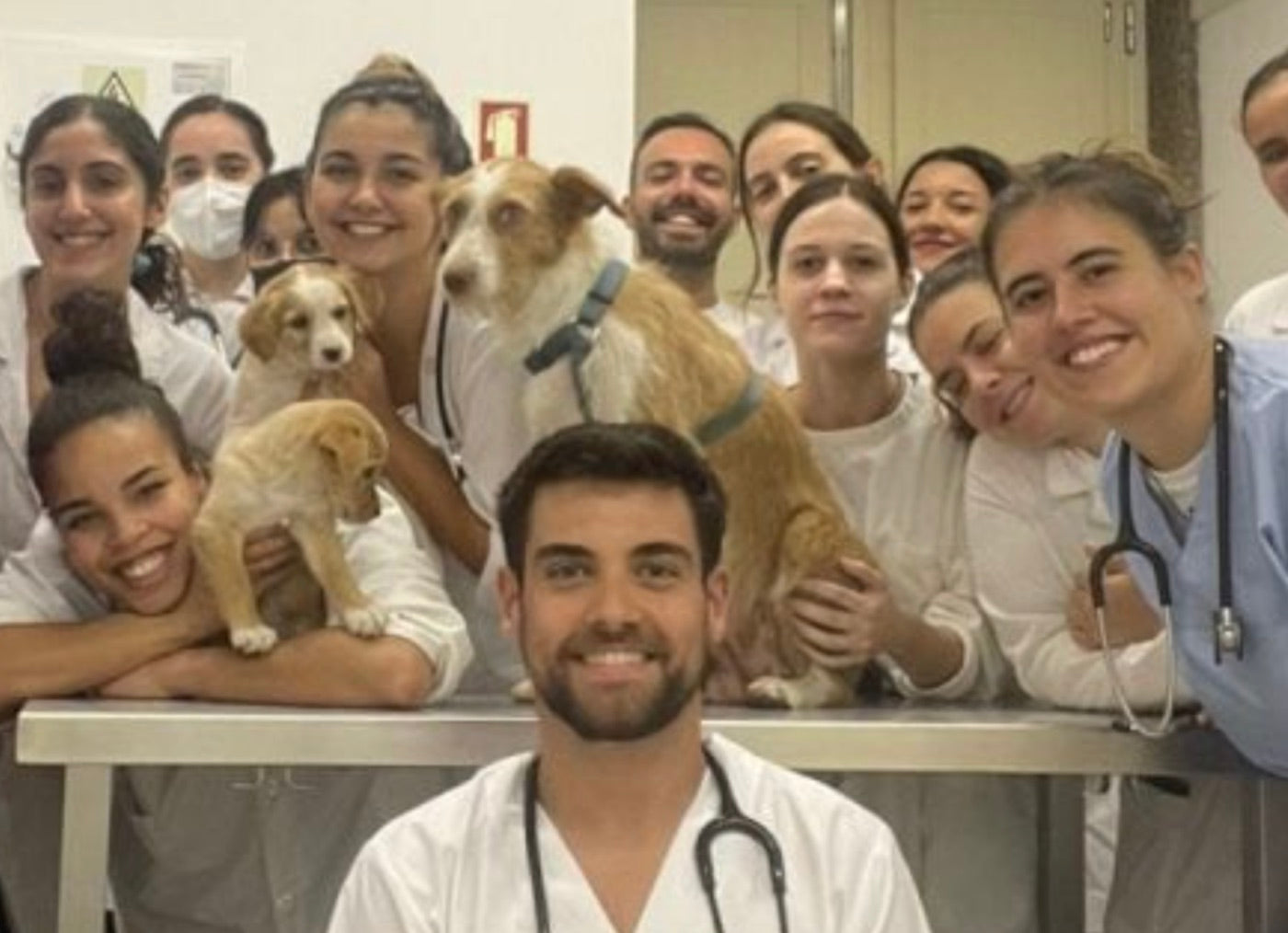 La formula è stata messa a punto con nutrizionisti veterinari ed esperti di salute felina