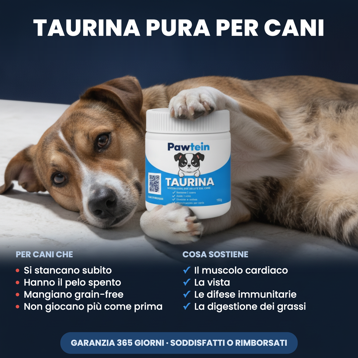 Pawtein Taurina Cani — barattolo extra