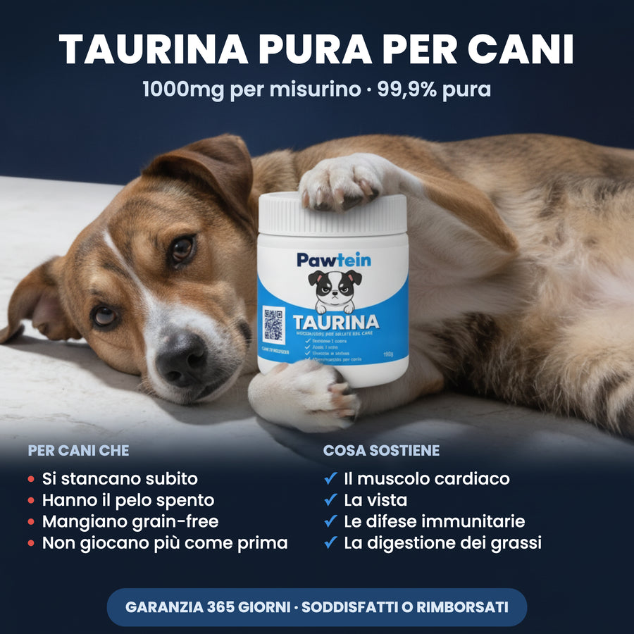 Pawtein™ Integratore di Taurina per Cani
