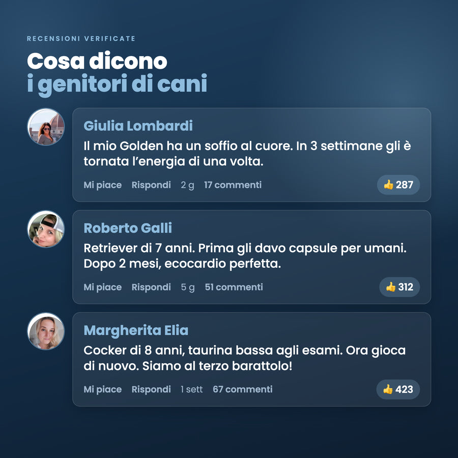 Pawtein™ Integratore di Taurina per Cani