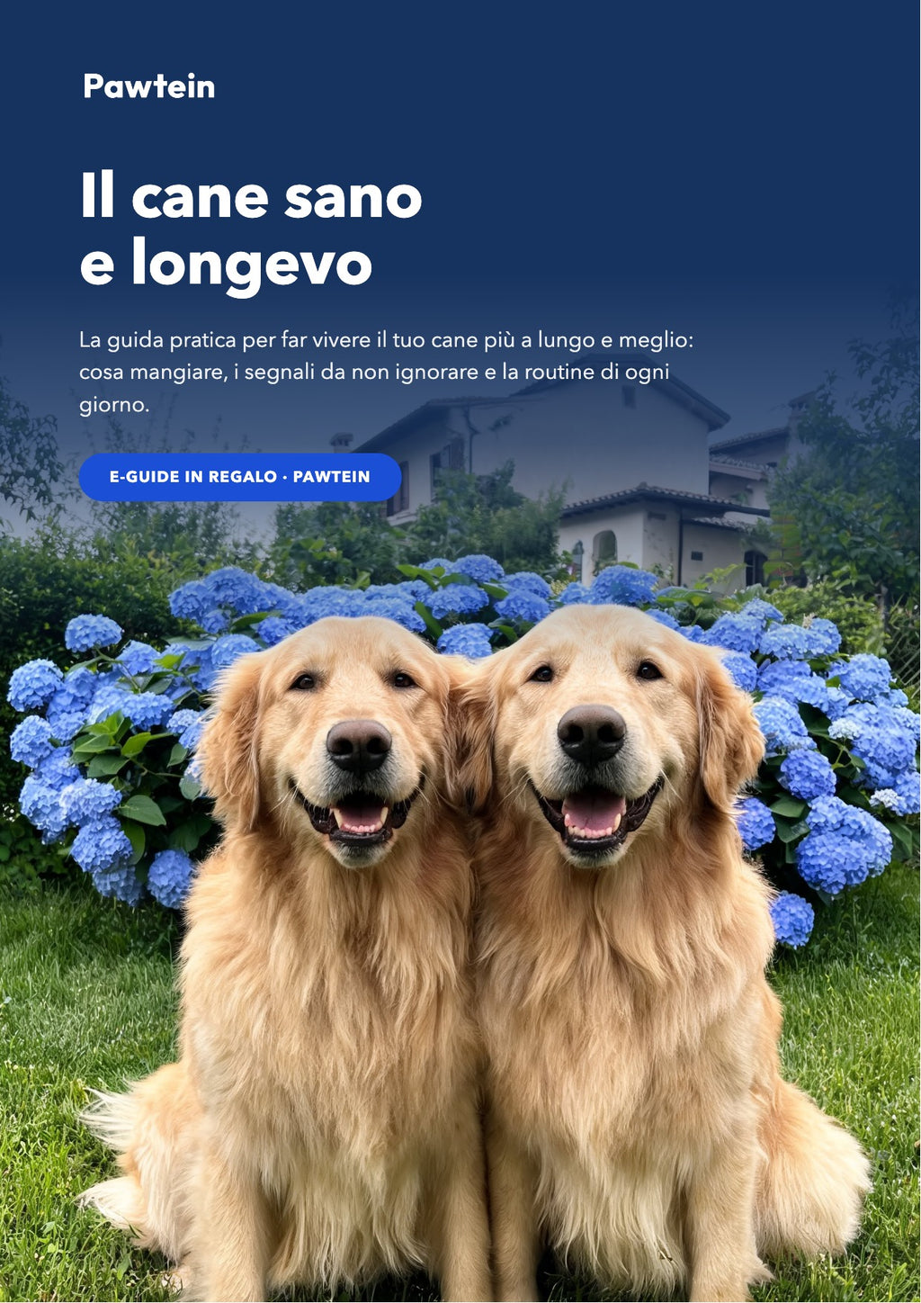 E-Guide: Il cane sano e longevo (PDF)