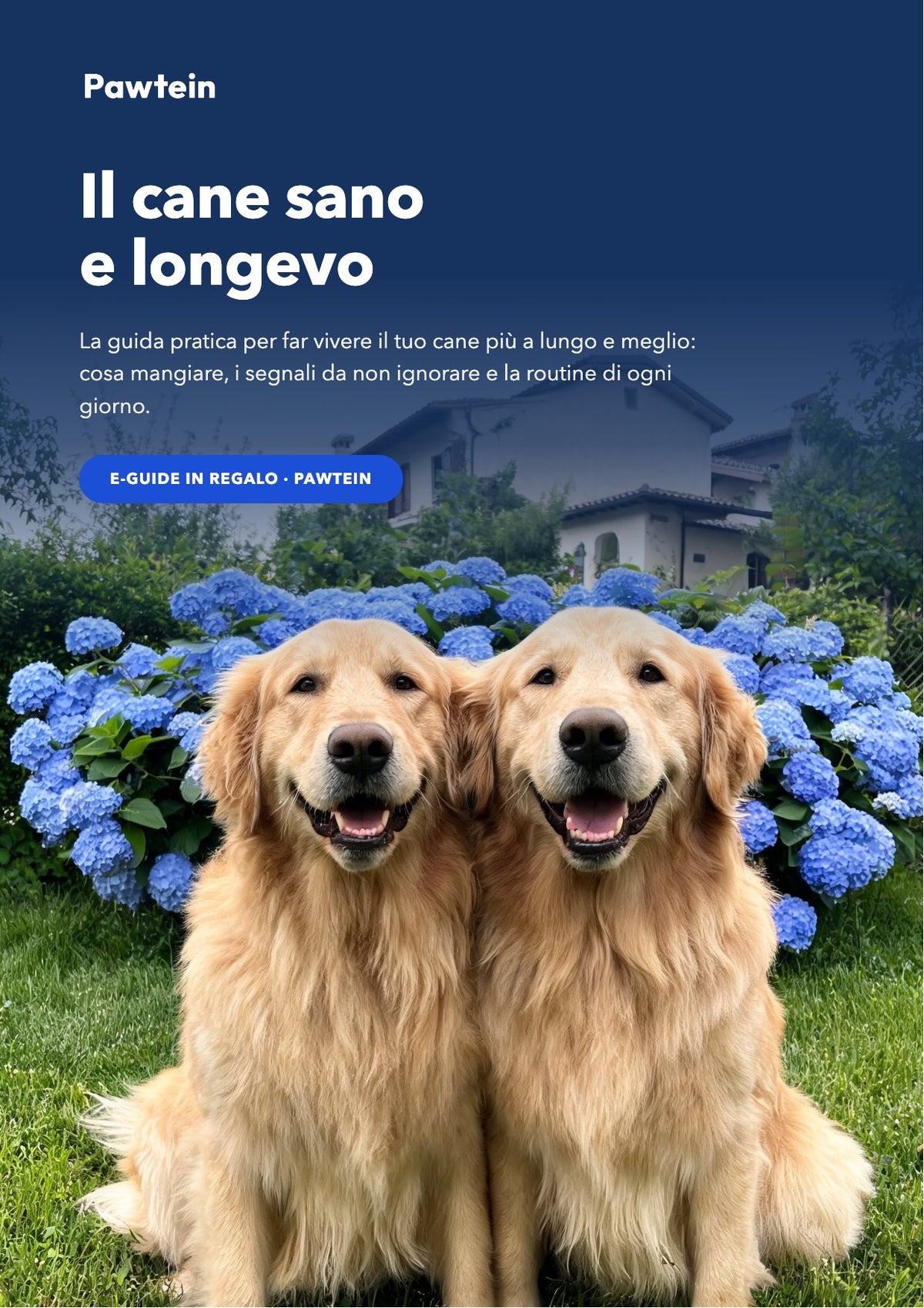 E-Guide: Il cane sano e longevo (PDF)