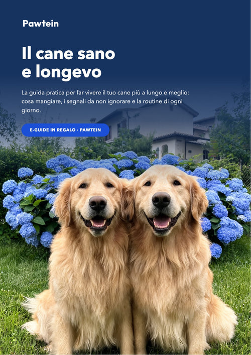 E-Guide: Il cane sano e longevo (PDF)