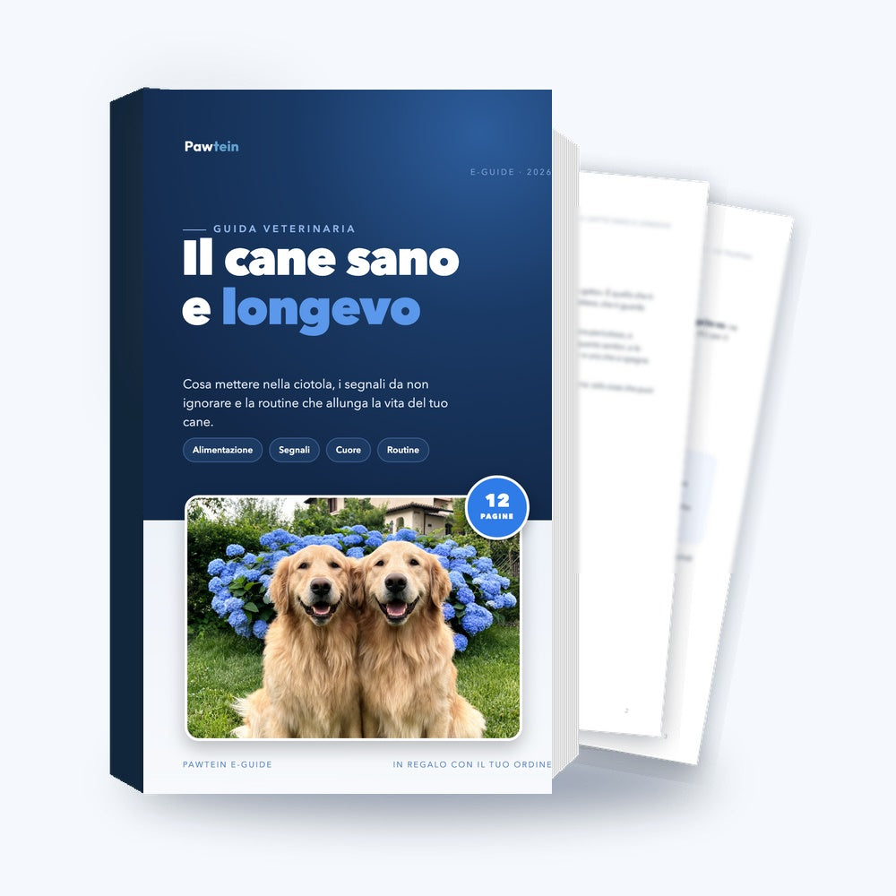E-Guide: Il cane sano e longevo (PDF)