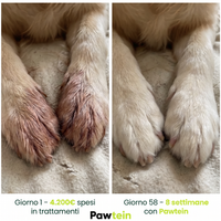 Collagene Liquido per Cani – Stop a Prurito, Allergie e Infezioni