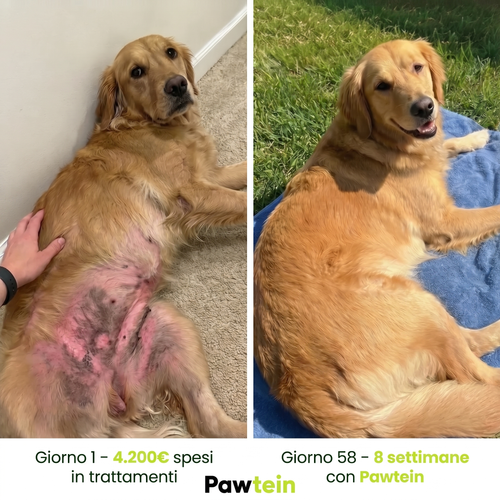 Collagene Liquido per Cani – Stop a Prurito, Allergie e Infezioni