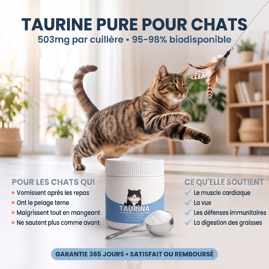 Pawtein™ Complément de Taurine pour Chats