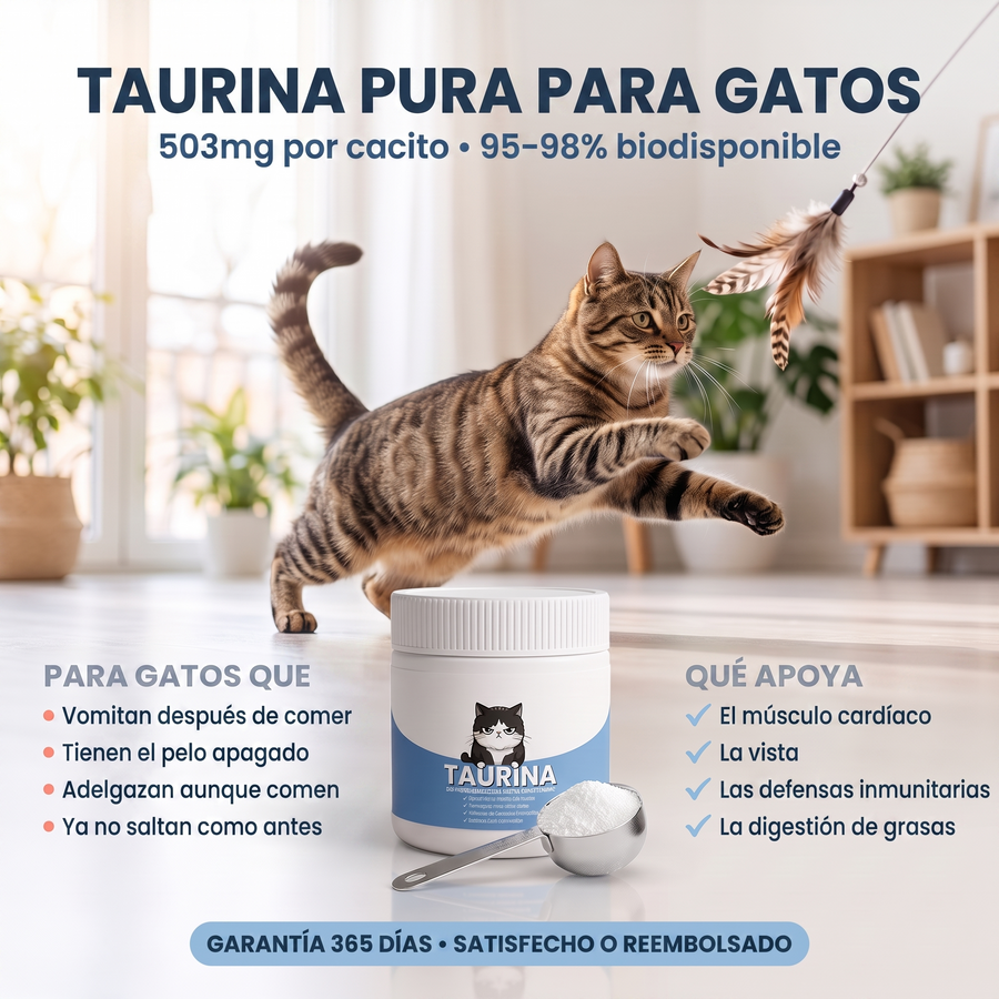 Pawtein™ Suplemento de Taurina para Gatos