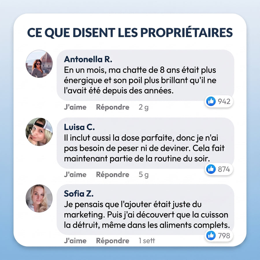 Pawtein™ Complément de Taurine pour Chats