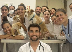 Formulata da un team di veterinari esperti di cani